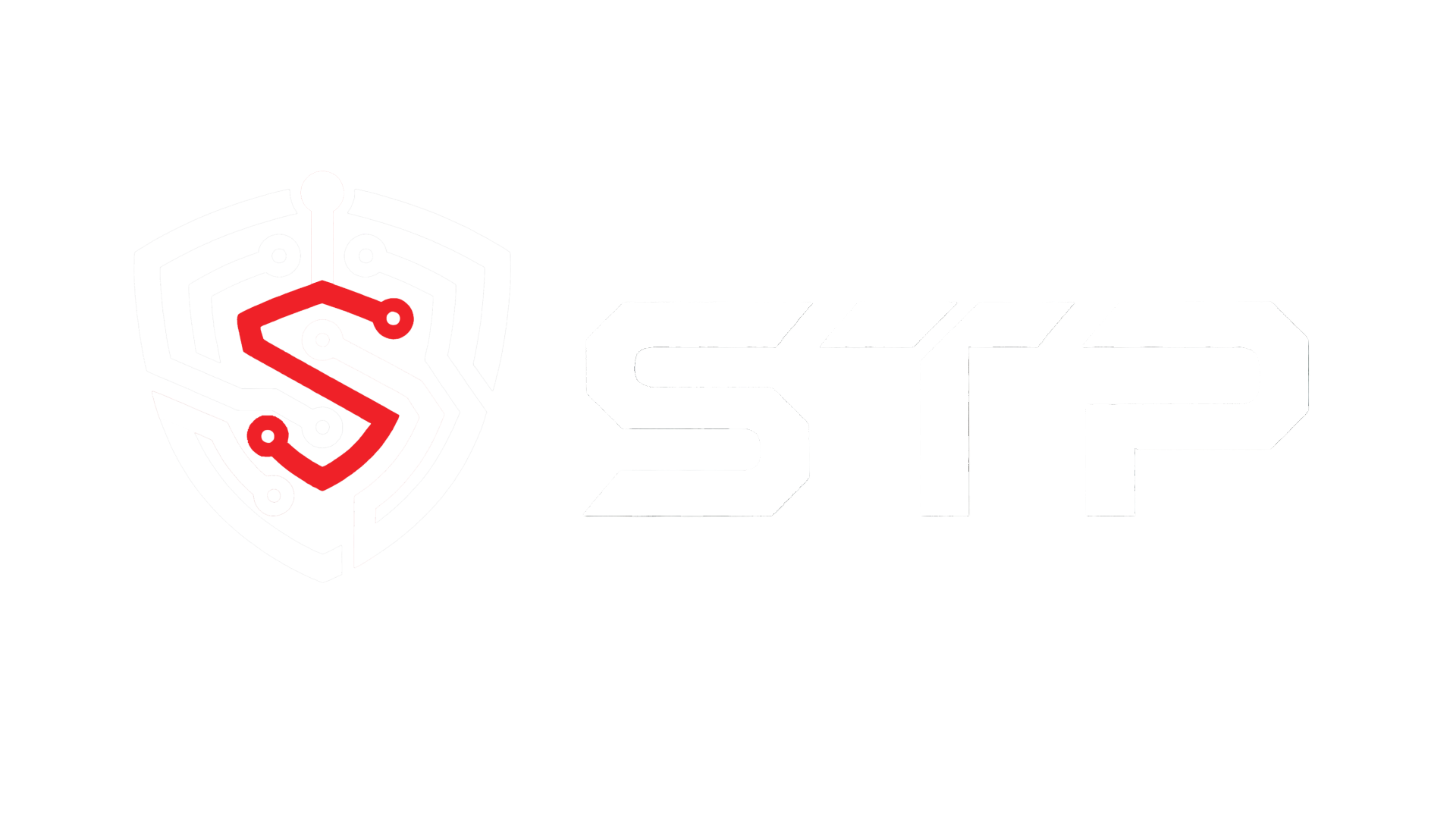 Southern Technology Partners LLC